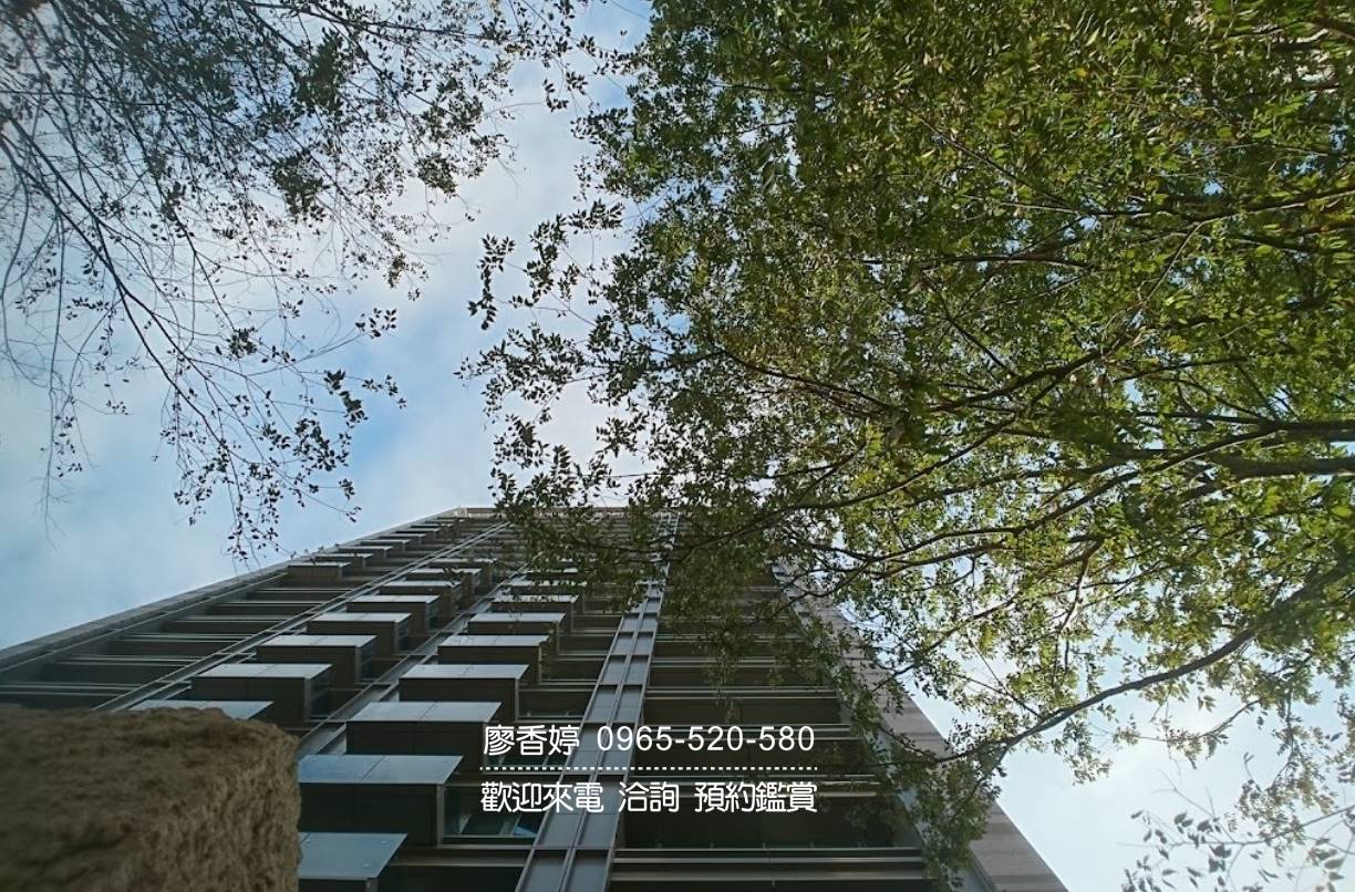 台中七期 寶輝建設 寶輝大隱 廖香婷 0965-520-580 歡迎預約鑑賞()007